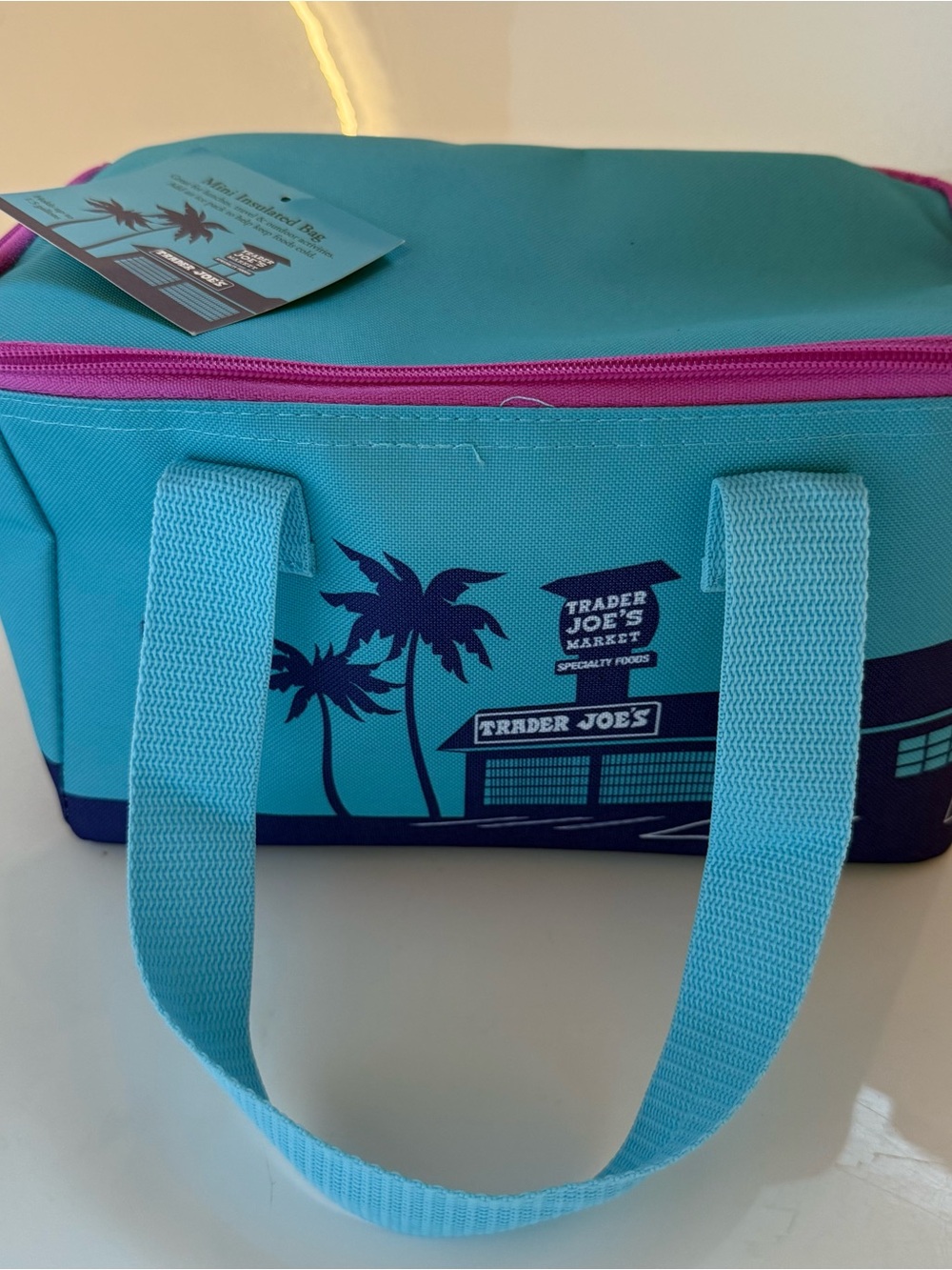 Trader Joe's Teal Insulated Lunch Bag with Pink Zipper